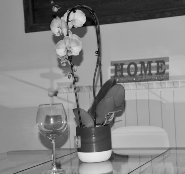 Brand New Apartment Firenze Eksteriør bilde